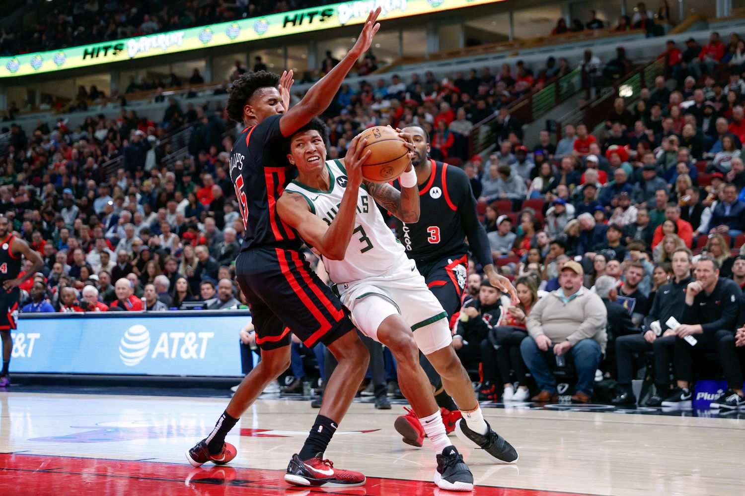 Julian Phillips, Chicago Bulls